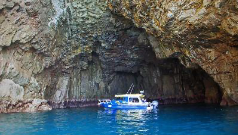 Nature and Coast Full-Day Guided Walk, Tairua and Pauanui