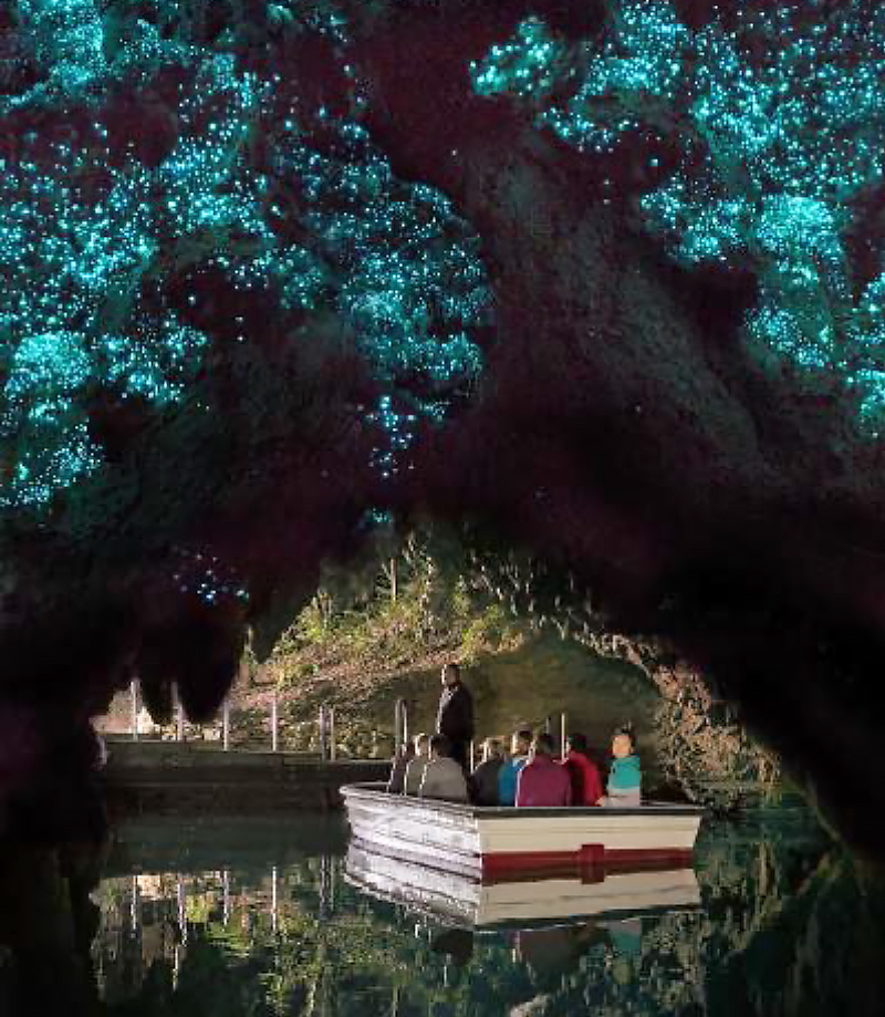 Glowworm Caves and Theatre Entrance, Waitomo