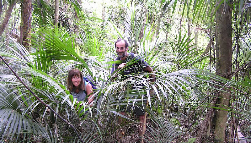 Nature and Coast Full-Day Guided Walk, Tairua and Pauanui