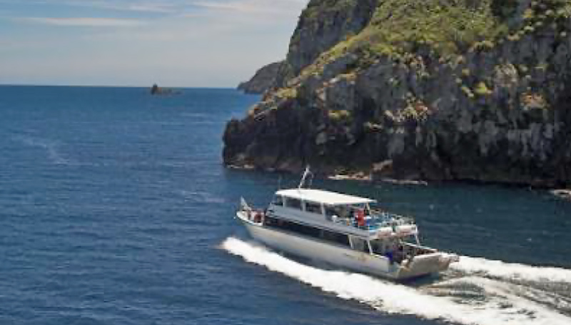 Perfect Day Ocean Cruise, Snorkel and Sightseeing Trip, Tutukaka