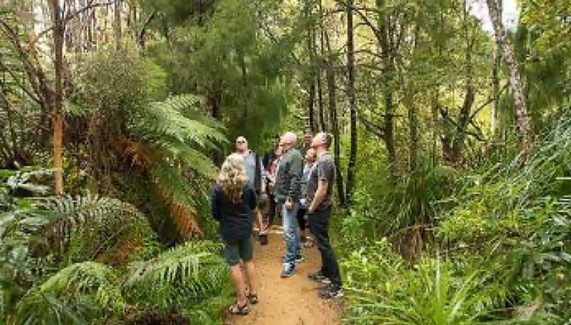 Coast and Rainforest Walk