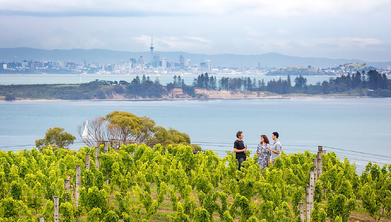 Essence of Waiheke Wine Tour including Lunch