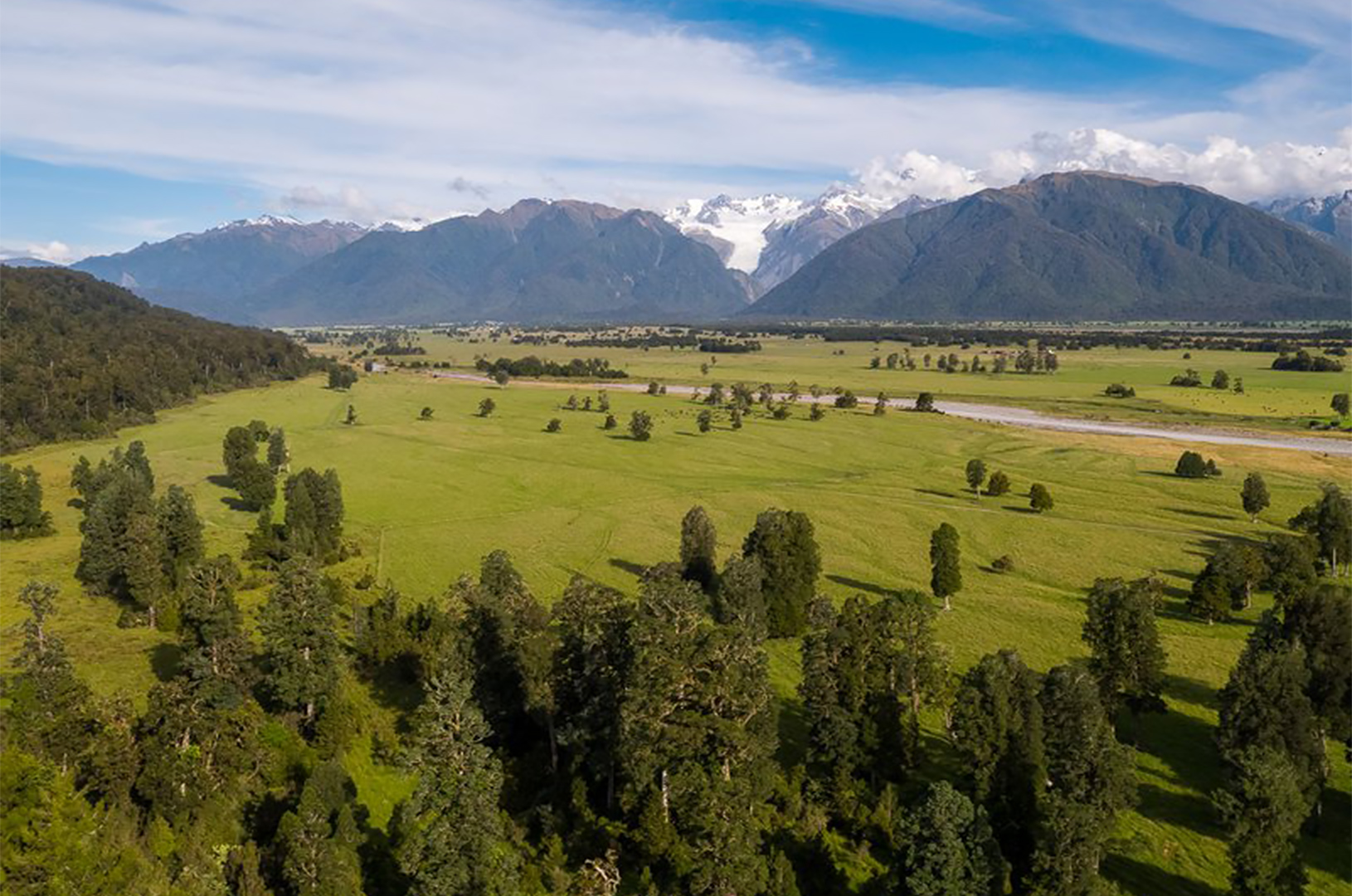 Experience Fox Glacier