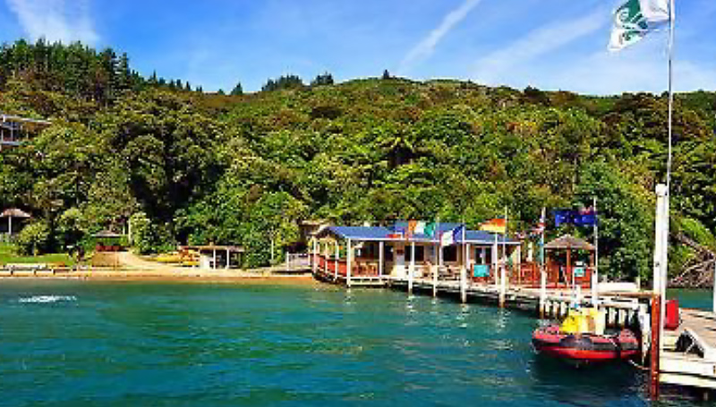 Day in the Sounds - Punga Cove and Cruise, Picton 