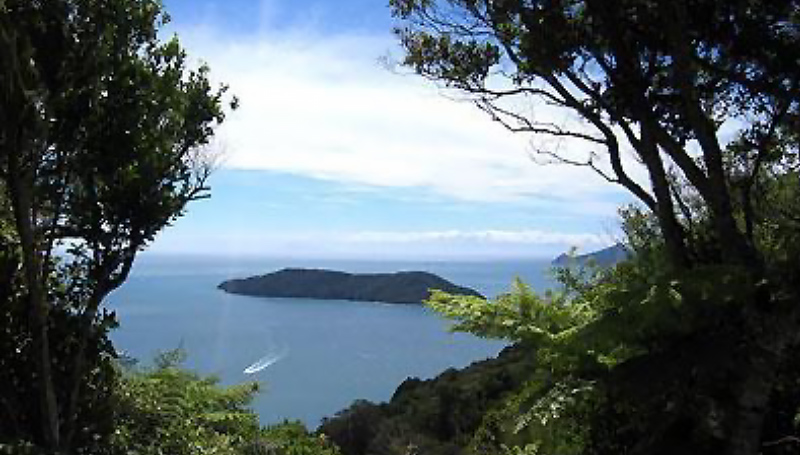 Moutara Island Bird Watchers Cruise, Picton