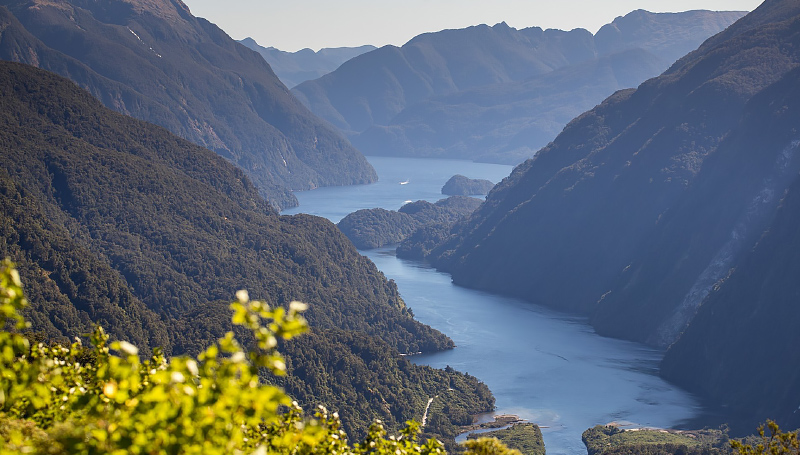 Fiordland