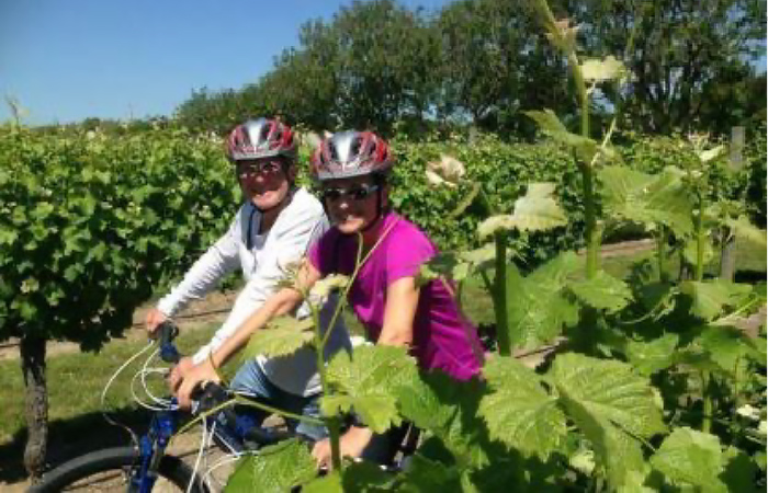 Deluxe Private Guided Biking Wine Tour, Blenheim