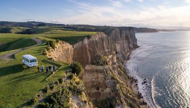 Gannet Safari Tour, Te Awanga