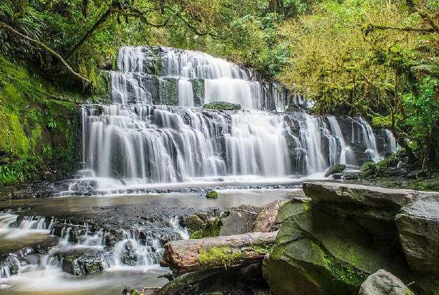 Catlins Beach, Bush and Waterfalls Tour