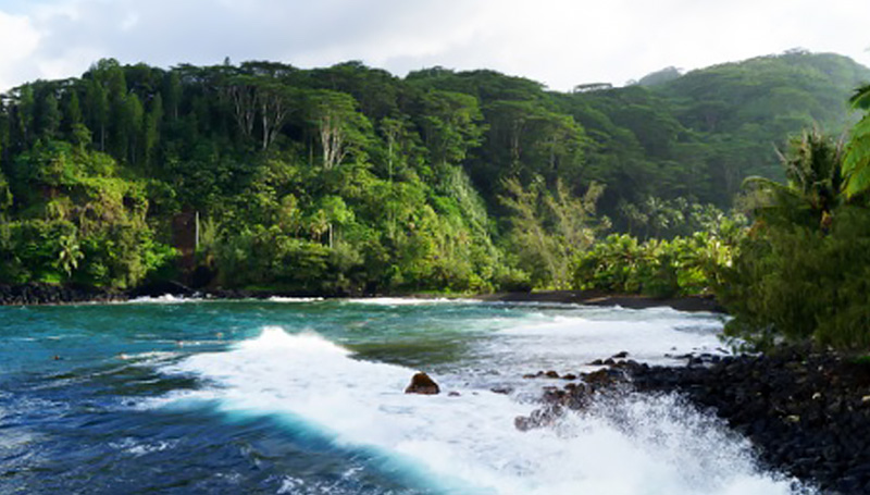 Tahiti Island Tour – Half Day