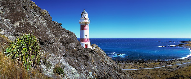 Cape Palliser Coastal Explorer Walk 