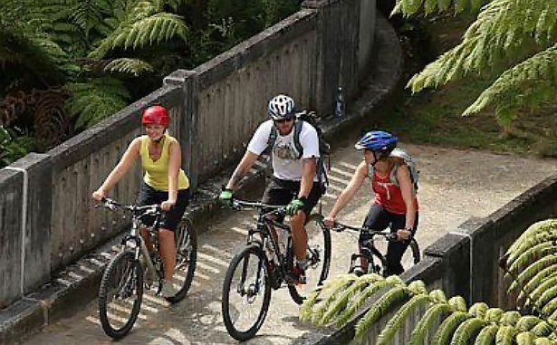 Rambler Day Tripper (Cycle Tour) 