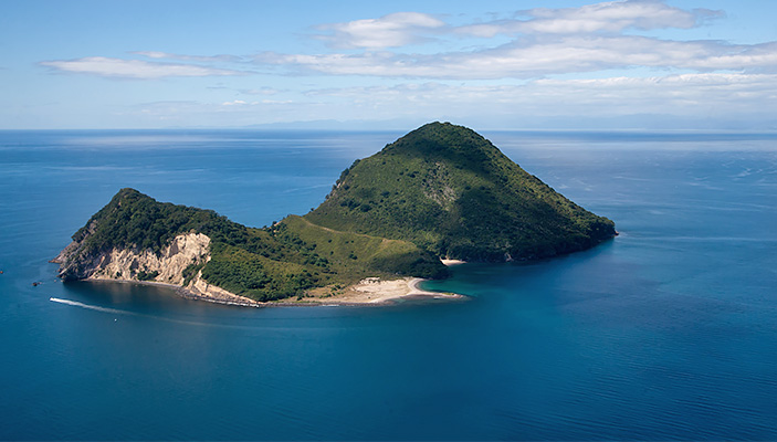 Experience Bay of Plenty