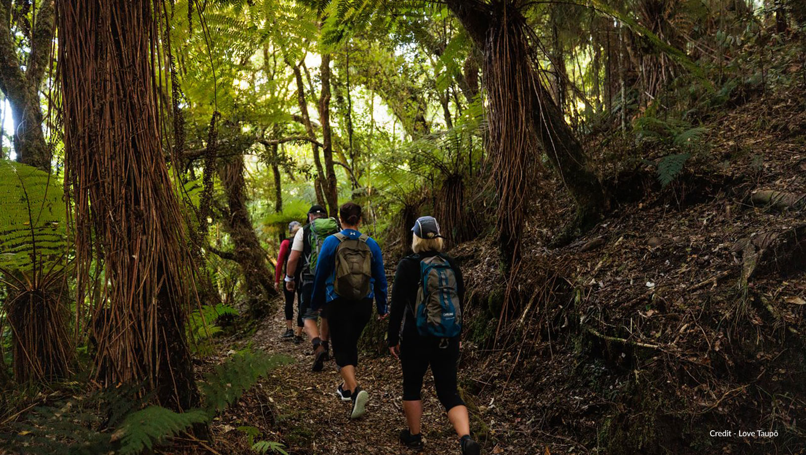 Kaimanawa Forest Park - Taupo