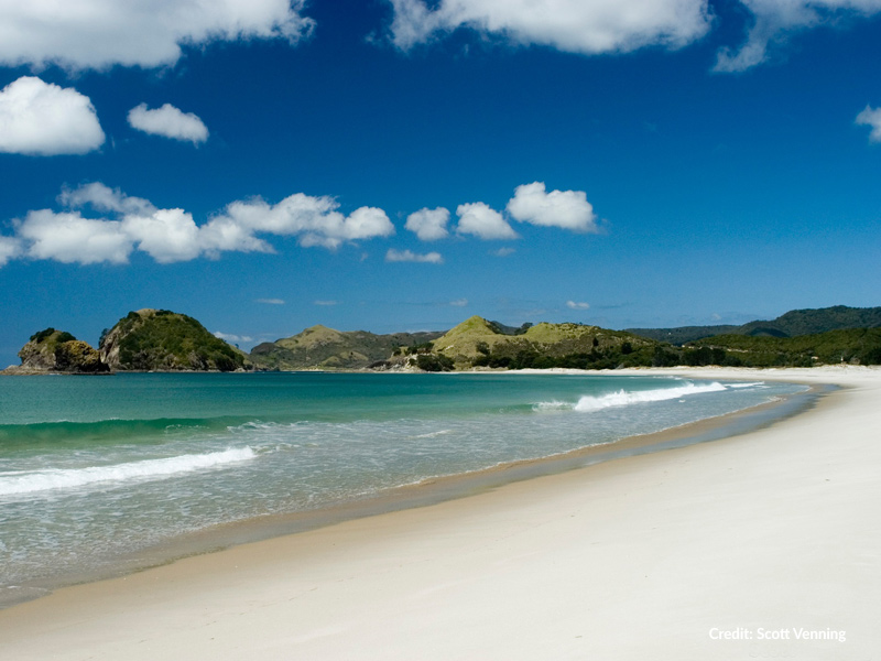 North island
