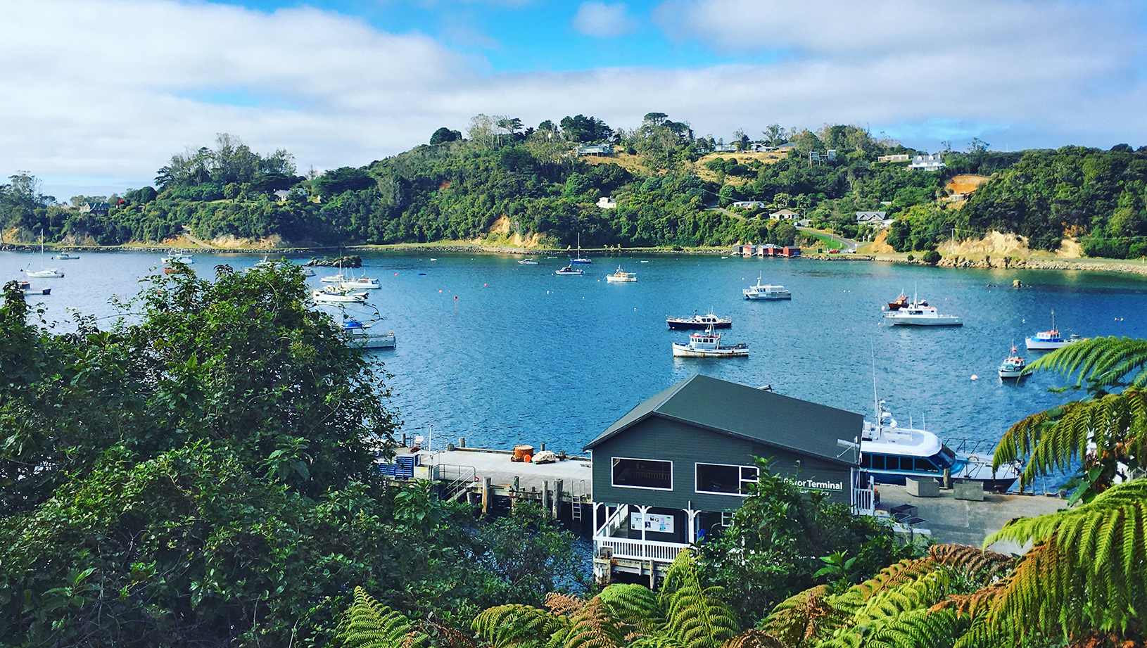 Stewart Island - Halfmoon Bay