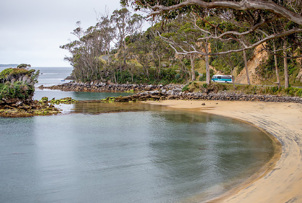 Ulva Island Half Day Guided Walk