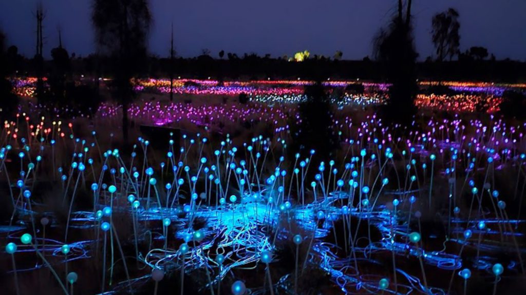 Field of Light