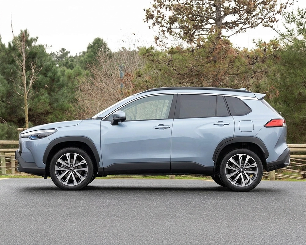 Medium SUV Rental