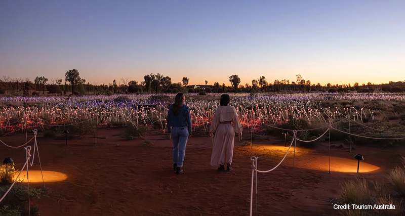 A Night of Field and Light