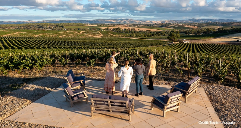 Barossa Wine Tour