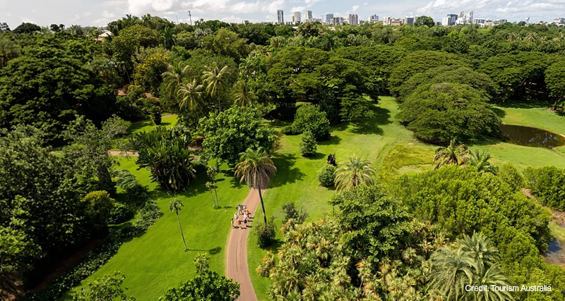 Darwin City Package