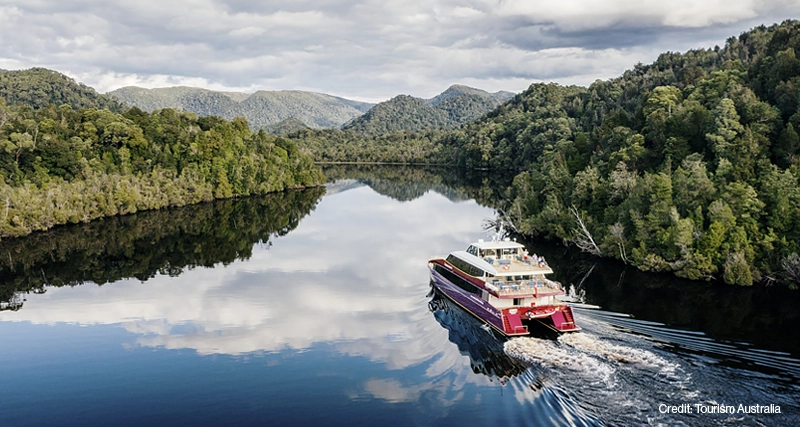 Tasmanian Highlights