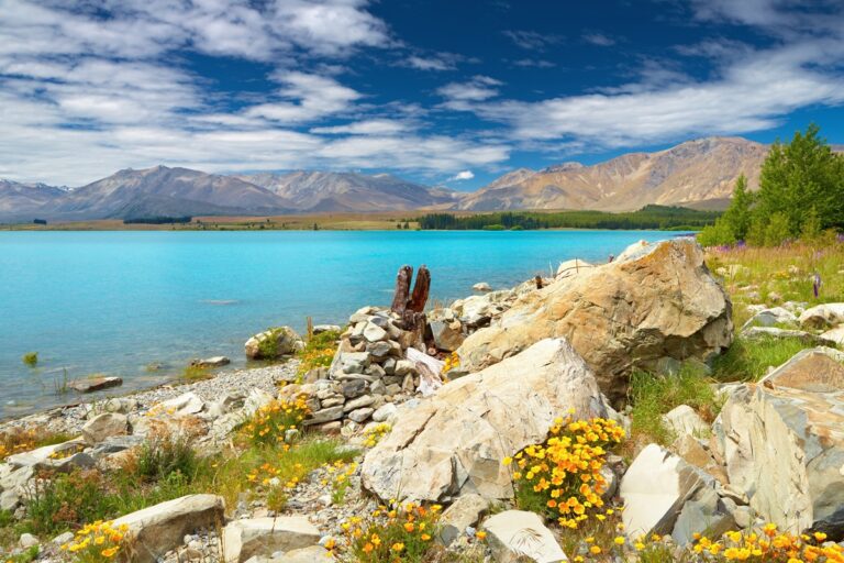 Tekapo lake and Southern Alps New Zealand